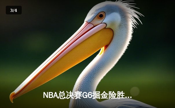 NBA总决赛G6掘金险胜热火问鼎总冠军，约基奇41分三双荣膺FMVP - 3